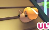 Trapdoor Snail is an ultra-rare pet in Roblox Adopt Me! (Image via YouTube)